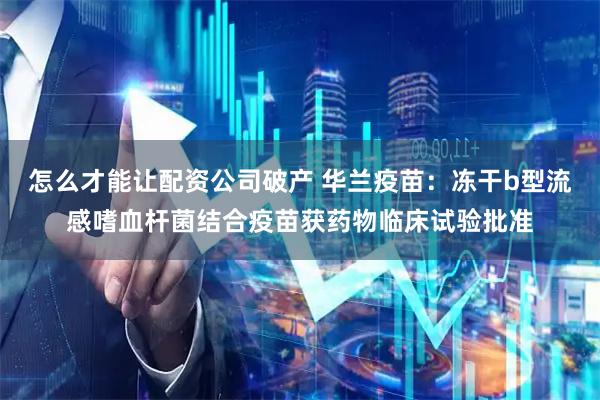 怎么才能让配资公司破产 华兰疫苗：冻干b型流感嗜血杆菌结合疫苗获药物临床试验批准