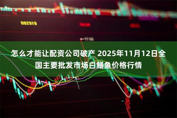 怎么才能让配资公司破产 2025年11月12日全国主要批发市场白鳝鱼价格行情