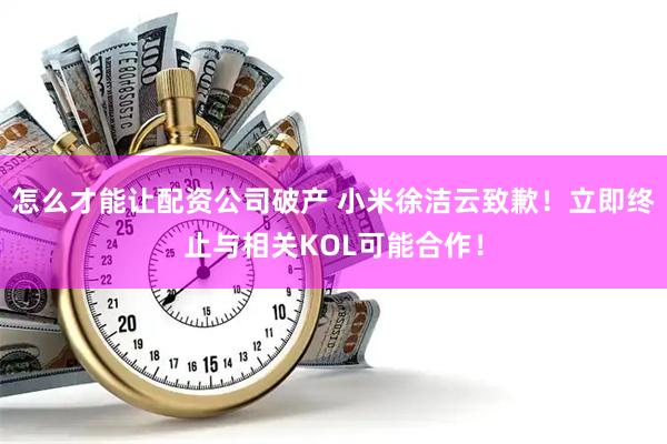 怎么才能让配资公司破产 小米徐洁云致歉！立即终止与相关KOL可能合作！