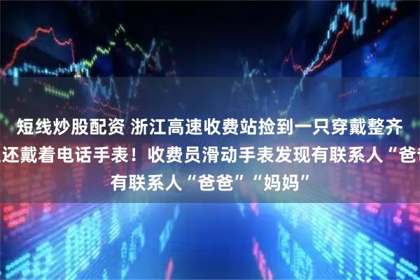 短线炒股配资 浙江高速收费站捡到一只穿戴整齐的猫，身上还戴着电话手表！收费员滑动手表发现有联系人“爸爸”“妈妈”
